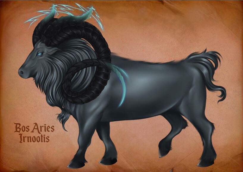 Bestiary of a life - Personal project