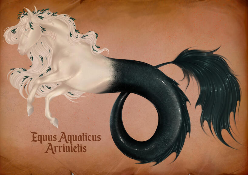 Bestiary of a life - Personal project