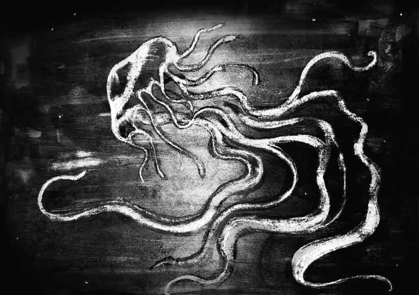 Elements Series - Void